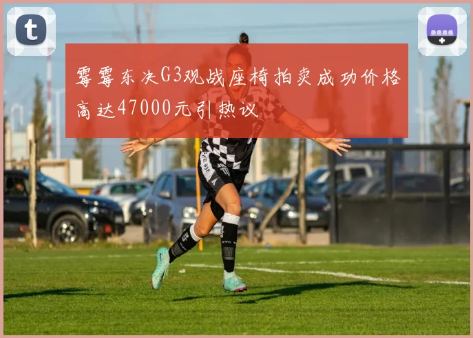 霉霉东决G3观战座椅拍卖成功价格高达47000元引热议