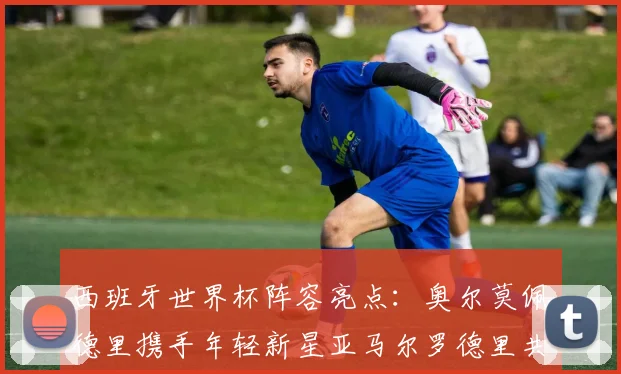 西班牙世界杯阵容亮点：奥尔莫佩德里携手年轻新星亚马尔罗德里共赴荣耀之战
