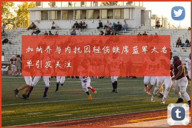 加纳乔与内托因轻伤缺席蓝军大名单引发关注